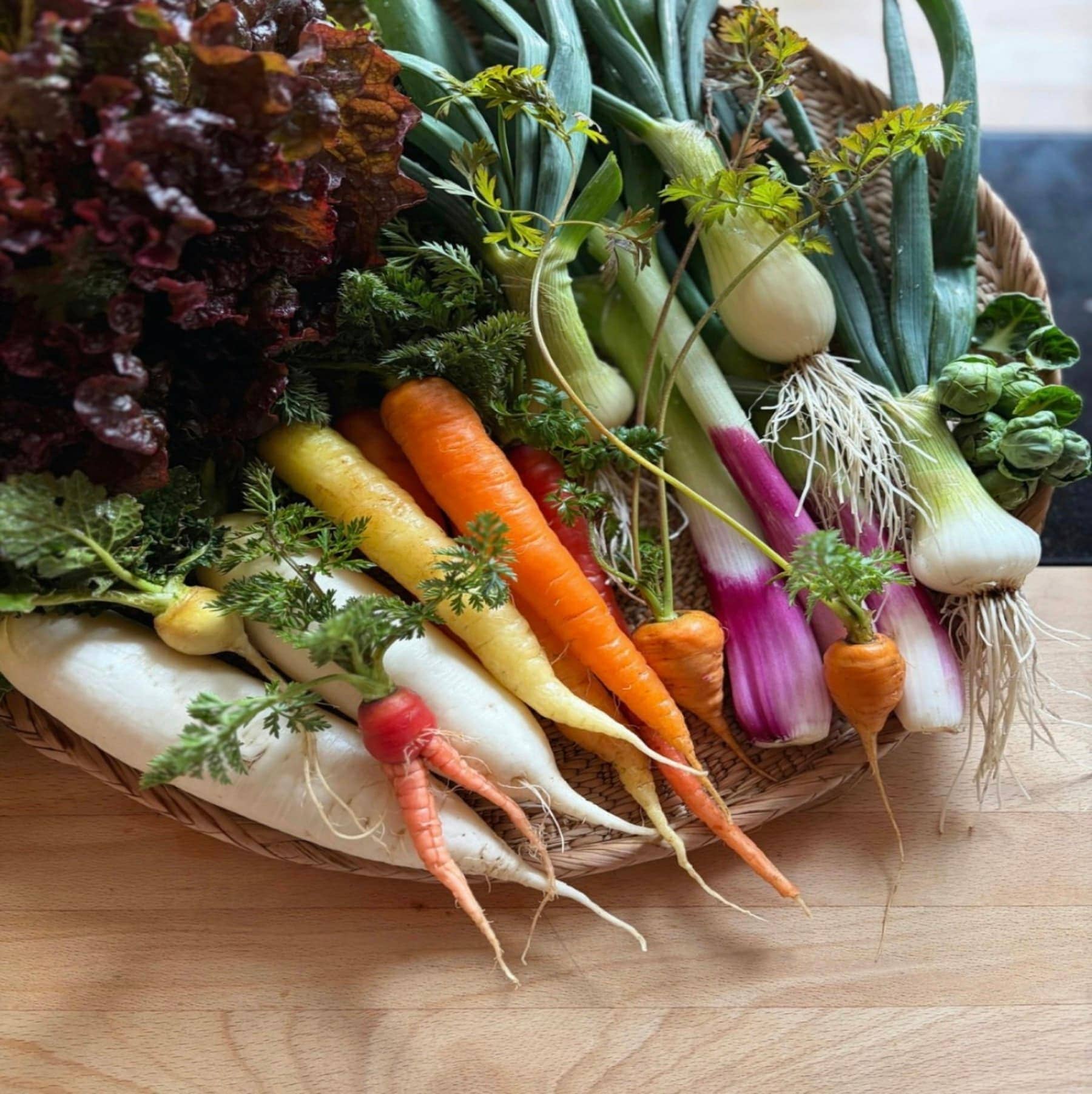 Des légumes colorés fraîchement récoltés, dont des carottes et des radis